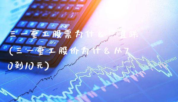 三一重工股票为什么一直跌(三一重工股价为什么从70到10元)_https://www.gnhpgy.com_德指期货_第1张