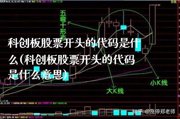 科创板股票开头的代码是什么(科创板股票开头的代码是什么意思)_https://www.gnhpgy.com_纳指期货_第1张