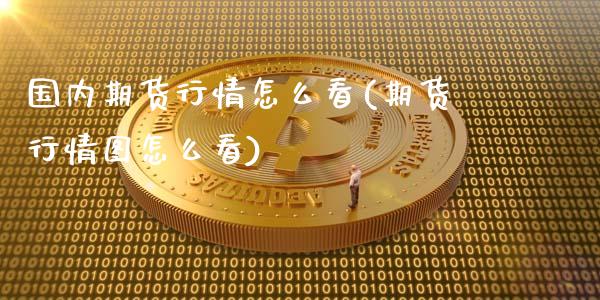 国内期货行情怎么看(期货行情图怎么看)_https://www.gnhpgy.com_德指期货_第1张