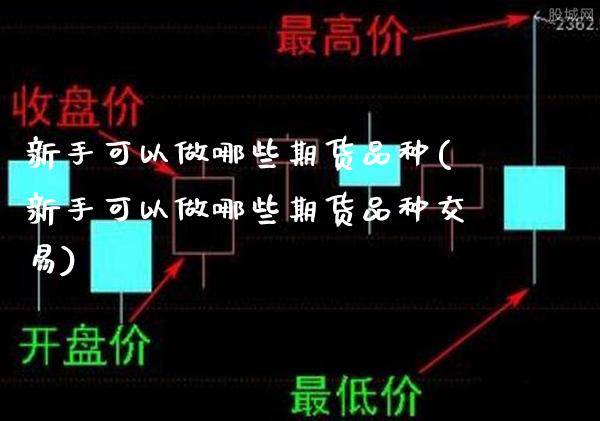 新手可以做哪些期货品种(新手可以做哪些期货品种交易)_https://www.gnhpgy.com_道指期货_第1张