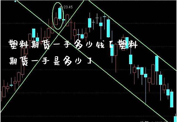 塑料期货一手多少钱【塑料期货一手是多少】_https://www.gnhpgy.com_恒指期货_第1张
