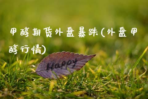 甲醇期货外盘暴跌(外盘甲醇行情)_https://www.gnhpgy.com_恒指期货_第1张