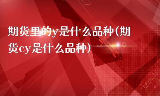 期货里的y是什么品种(期货cy是什么品种)_https://www.gnhpgy.com_原油期货_第1张