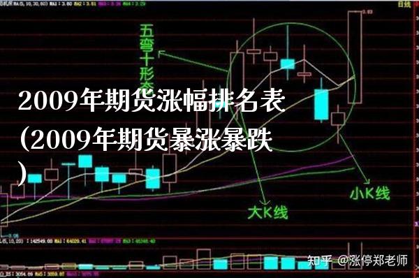 2009年期货涨幅排名表(2009年期货暴涨暴跌)_https://www.gnhpgy.com_恒指期货_第1张