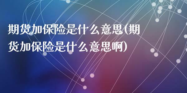 期货加保险是什么意思(期货加保险是什么意思啊)_https://www.gnhpgy.com_纳指期货_第1张
