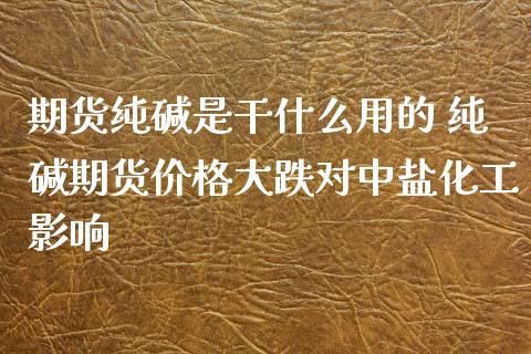 期货纯碱是干什么用的 纯碱期货价格大跌对中盐化工影响_https://www.gnhpgy.com_恒指期货_第1张