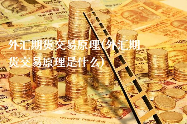 外汇期货交易原理(外汇期货交易原理是什么)_https://www.gnhpgy.com_纳指期货_第1张