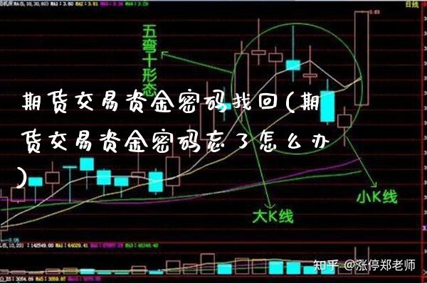 期货交易资金找回(期货交易资金忘了怎么办)_https://www.gnhpgy.com_德指期货_第1张
