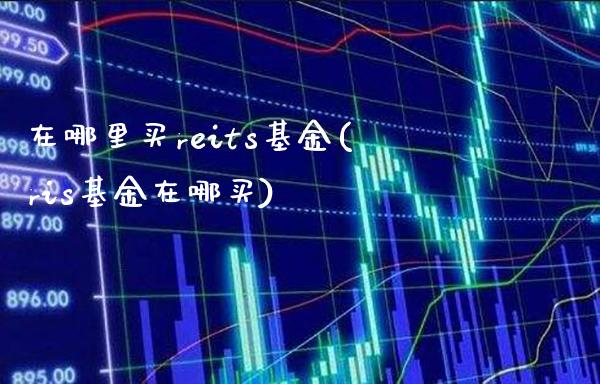 在哪里买reits基金(ris基金在哪买)_https://www.gnhpgy.com_纳指期货_第1张