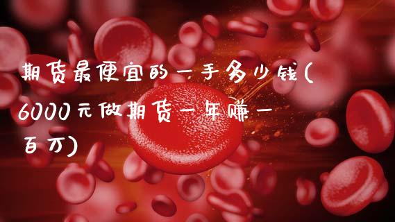 期货最便宜的一手多少钱(6000元做期货一年赚一百万)_https://www.gnhpgy.com_德指期货_第1张
