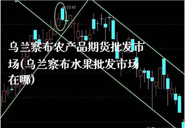 乌兰察布农产品期货批发市场(乌兰察布水果批发市场在哪)_https://www.gnhpgy.com_原油期货_第1张