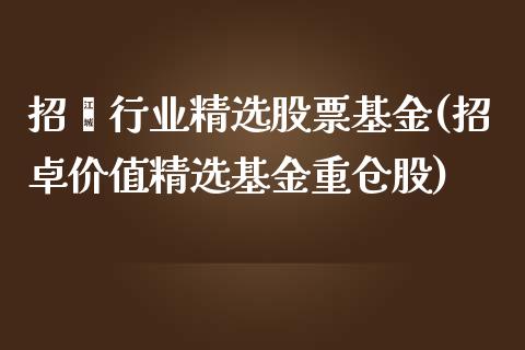 招啇行业精选股票基金(招卓价值精选基金重仓股)_https://www.gnhpgy.com_股指期货_第1张