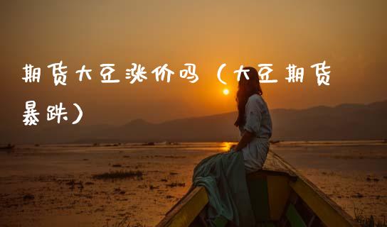 期货大豆涨价吗（大豆期货暴跌）_https://www.gnhpgy.com_德指期货_第1张