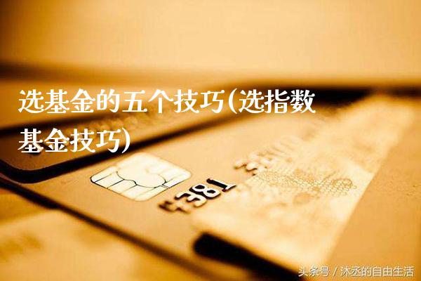 选基金的五个技巧(选指数基金技巧)_https://www.gnhpgy.com_期货知识_第1张