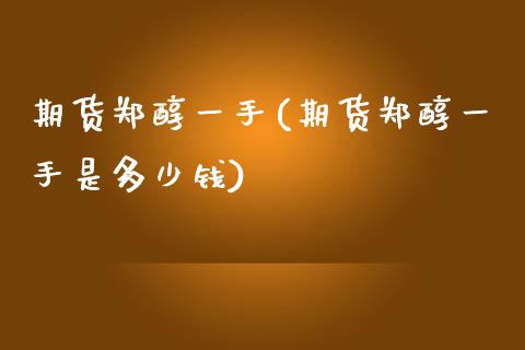期货郑醇一手(期货郑醇一手是多少钱)_https://www.gnhpgy.com_道指期货_第1张