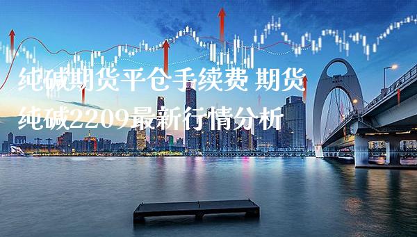 纯碱期货平仓手续费 期货纯碱2209最新行情分析_https://www.gnhpgy.com_恒指期货_第1张