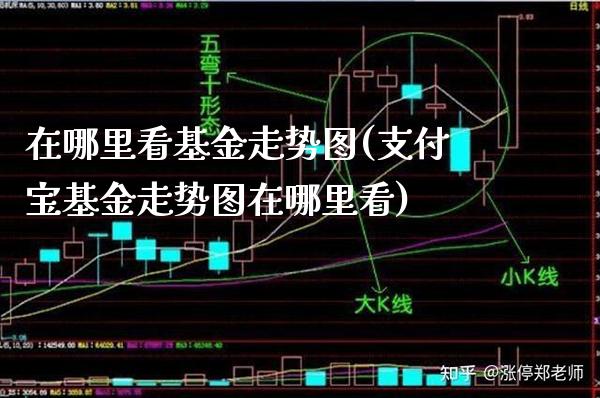 在哪里看基金走势图(支付宝基金走势图在哪里看)_股指期货_第1张_公牛期货直播室 在哪里看基金走势图(支付宝基金走势图在哪里看)_https://www.gnhpgy.com_股指期货_第1张