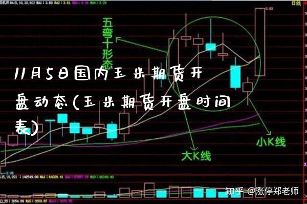 11月5日国内玉米期货开盘动态(玉米期货开盘时间表)_https://www.gnhpgy.com_道指期货_第1张