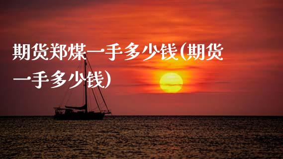 期货郑煤一手多少钱(期货一手多少钱)_https://www.gnhpgy.com_期货知识_第1张