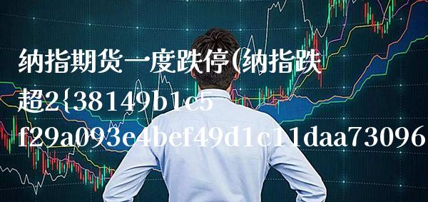 纳指期货一度跌停(纳指跌超2%科技股全线下挫)_https://www.gnhpgy.com_恒指期货_第1张