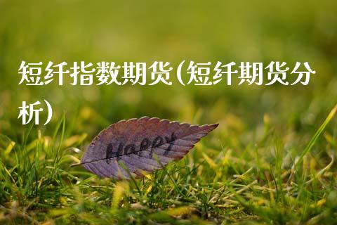 短纤指数期货(短纤期货分析)_https://www.gnhpgy.com_纳指期货_第1张