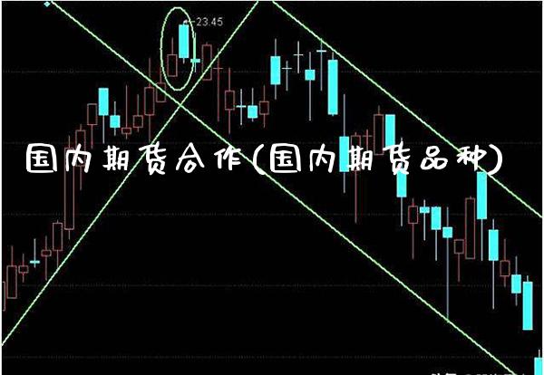 国内期货合作(国内期货品种)_https://www.gnhpgy.com_德指期货_第1张