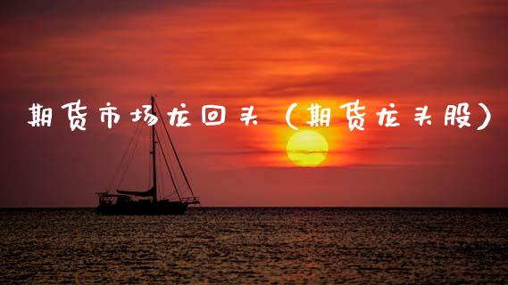 期货市场龙回头（期货龙头股）_https://www.gnhpgy.com_股指期货_第1张