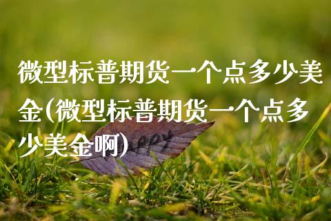 微型标普期货一个点多少美金(微型标普期货一个点多少美金啊)_https://www.gnhpgy.com_德指期货_第1张