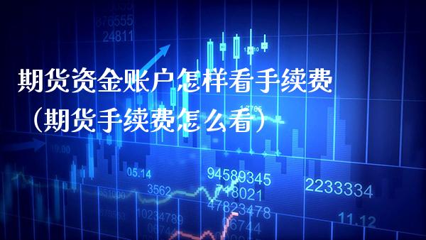 期货资金账户怎样看手续费（期货手续费怎么看）_https://www.gnhpgy.com_恒指期货_第1张