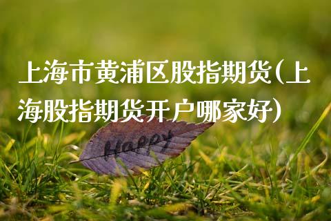 上海市黄浦区股指期货(上海股指期货开户哪家好)_https://www.gnhpgy.com_原油期货_第1张