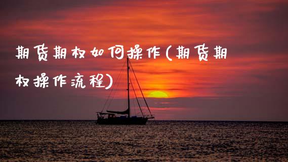 期货期权如何操作(期货期权操作流程)_https://www.gnhpgy.com_恒指期货_第1张