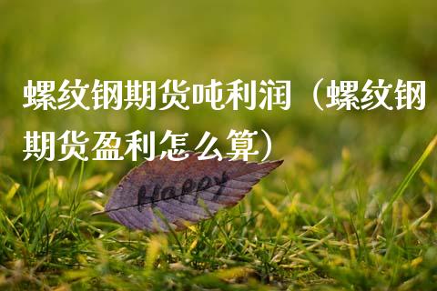 螺纹钢期货吨利润（螺纹钢期货盈利怎么算）_https://www.gnhpgy.com_期货知识_第1张