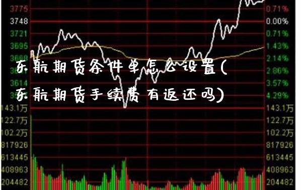 东航期货条件单怎么设置(东航期货手续费有返还吗)_https://www.gnhpgy.com_原油期货_第1张