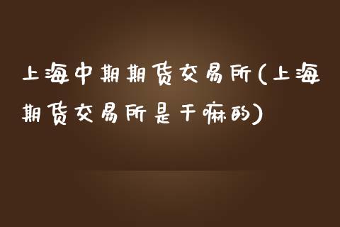 上海中期期货交易所(上海期货交易所是干嘛的)_https://www.gnhpgy.com_原油期货_第1张
