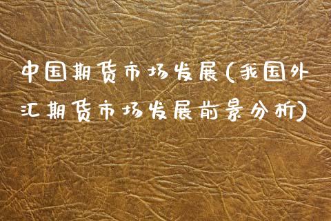 中国期货市场发展(我国外汇期货市场发展前景分析)_https://www.gnhpgy.com_恒指期货_第1张