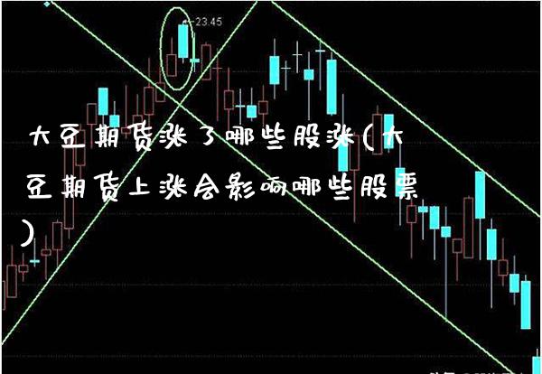 大豆期货涨了哪些股涨(大豆期货上涨会影响哪些股票)_https://www.gnhpgy.com_恒指期货_第1张