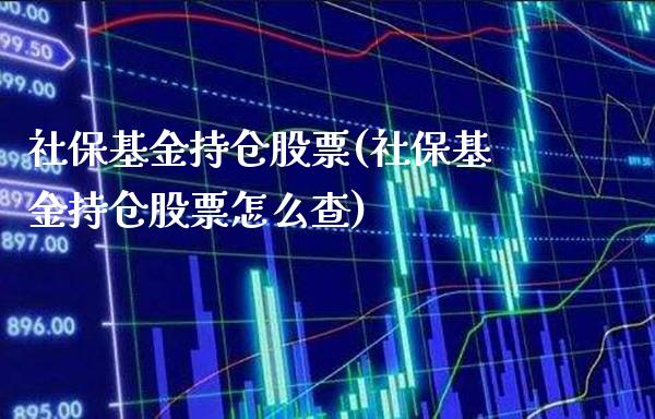 社保基金持仓股票(社保基金持仓股票怎么查)_https://www.gnhpgy.com_纳指期货_第1张