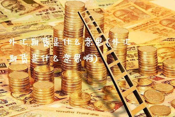 外汇期货是什么意思(外汇期货是什么意思啊)_https://www.gnhpgy.com_道指期货_第1张