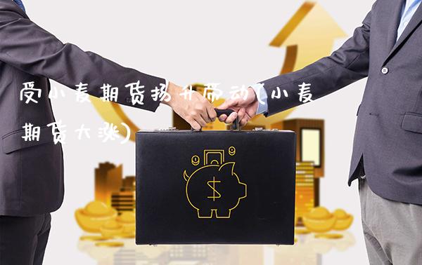 受小麦期货扬升带动(小麦期货大涨)_https://www.gnhpgy.com_黄金期货_第1张