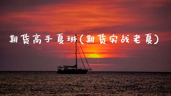 期货高手夏琳(期货实战老夏)_https://www.gnhpgy.com_道指期货_第1张