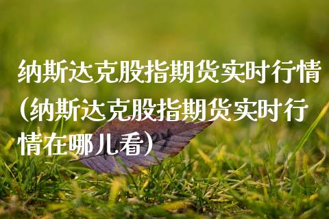 纳斯达克股指期货实时行情(纳斯达克股指期货实时行情在哪儿看)_https://www.gnhpgy.com_原油期货_第1张
