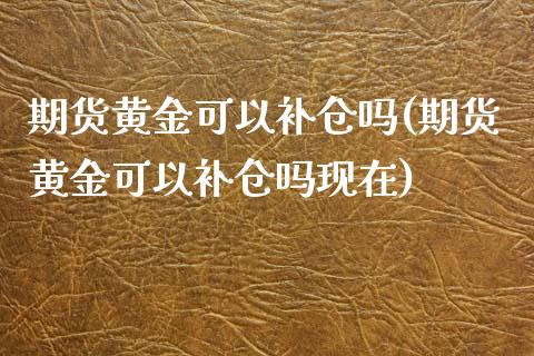 期货黄金可以补仓吗(期货黄金可以补仓吗现在)_https://www.gnhpgy.com_德指期货_第1张