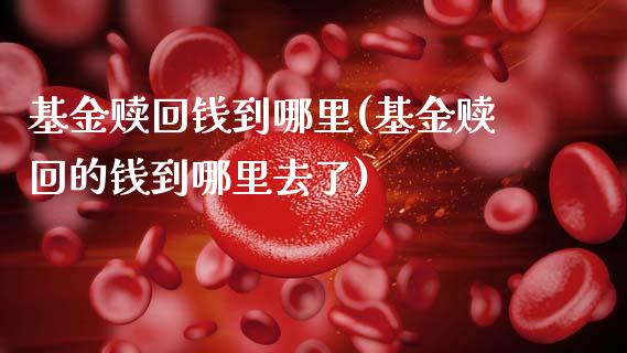 基金赎回钱到哪里(基金赎回的钱到哪里去了)_https://www.gnhpgy.com_纳指期货_第1张