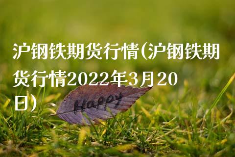 沪钢铁期货行情(沪钢铁期货行情2022年3月20日)_https://www.gnhpgy.com_原油期货_第1张