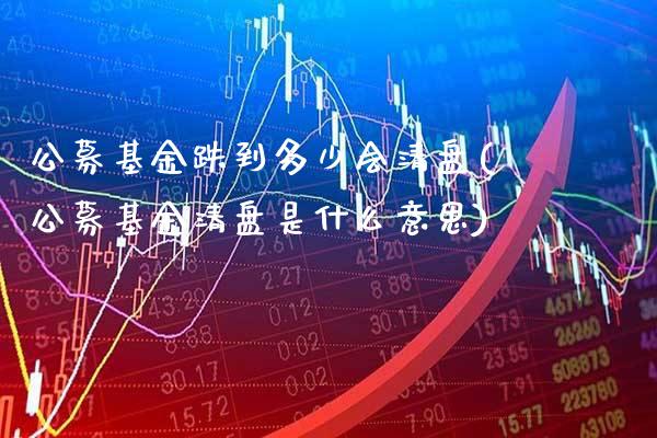 公募基金跌到多少会清盘(公募基金清盘是什么意思)_https://www.gnhpgy.com_道指期货_第1张