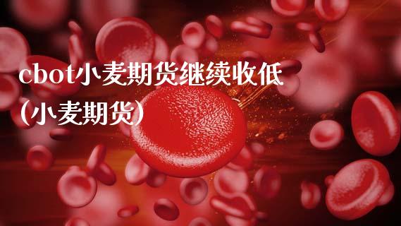 cbot小麦期货继续收低(小麦期货)_https://www.gnhpgy.com_恒指期货_第1张