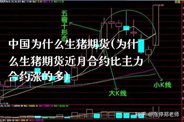中国为什么生猪期货(为什么生猪期货近月合约比主力合约涨的多)_https://www.gnhpgy.com_德指期货_第1张