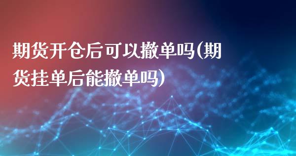 期货开仓后可以撤单吗(期货挂单后能撤单吗)_https://www.gnhpgy.com_期货知识_第1张