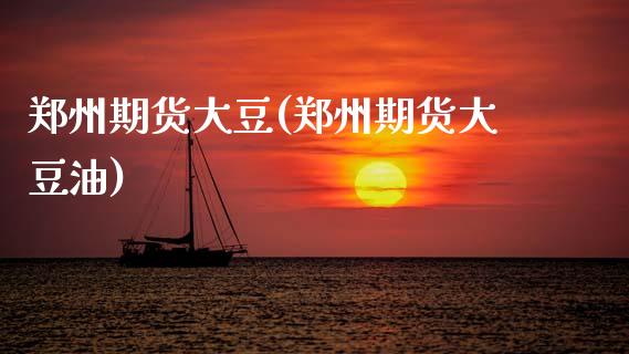 郑州期货大豆(郑州期货大豆油)_https://www.gnhpgy.com_期货百科_第1张