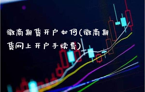 徽商期货开户如何(徽商期货网上开户手续费)_https://www.gnhpgy.com_恒指期货_第1张